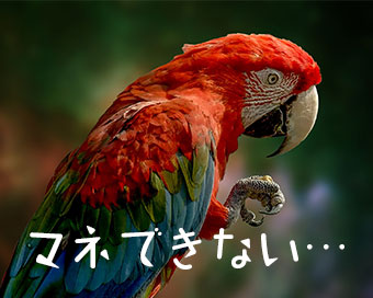 ボタン１